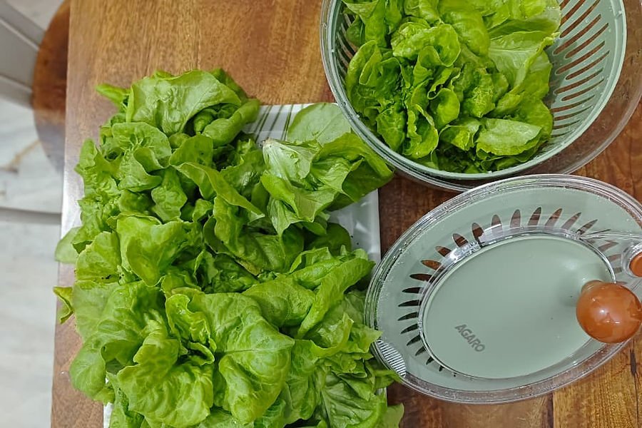 Freshly washed lettuce ready for the kitchen