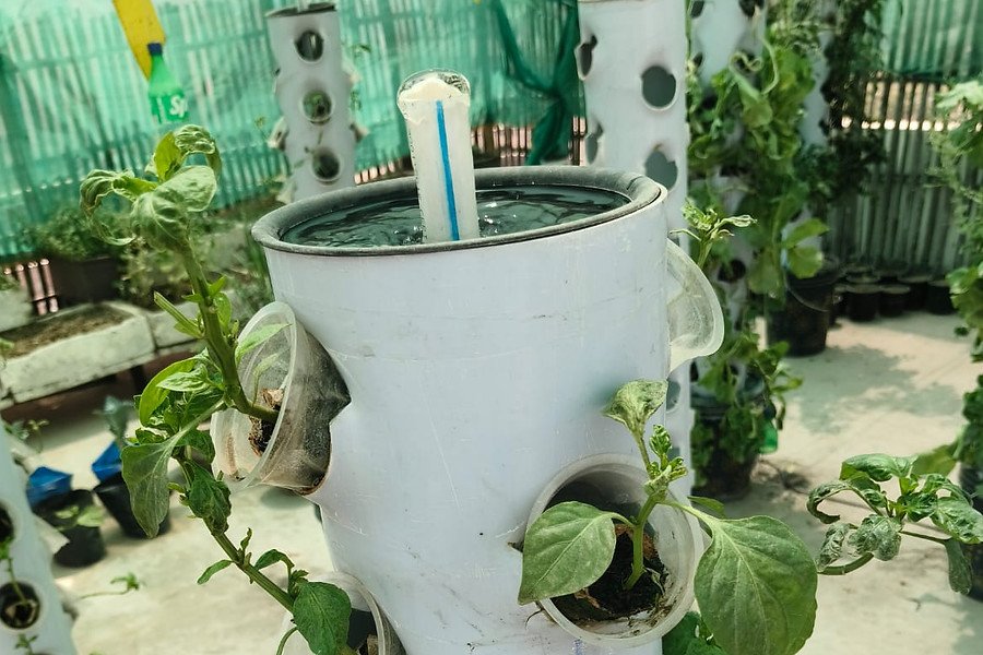 Hydroponic system nourishing plants with nutrient-rich water